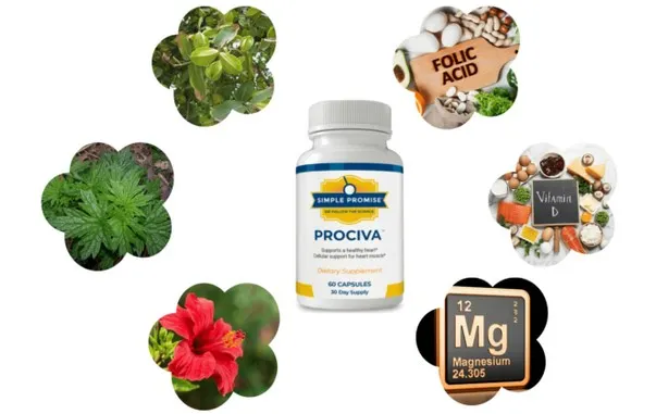 Prociva supplement facts and ingredients label
